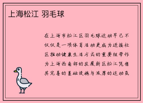 上海松江 羽毛球