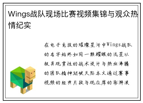 Wings战队现场比赛视频集锦与观众热情纪实