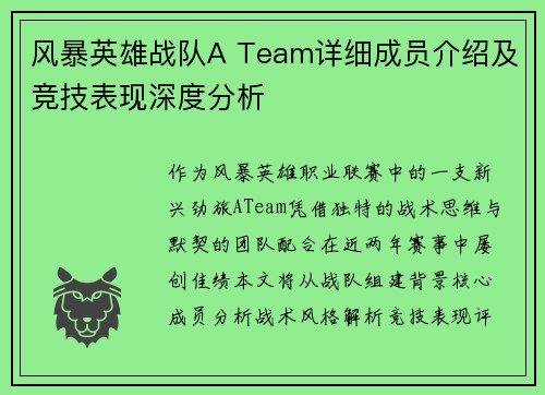 风暴英雄战队A Team详细成员介绍及竞技表现深度分析