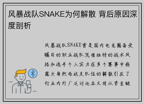 风暴战队SNAKE为何解散 背后原因深度剖析