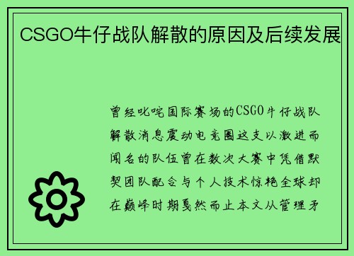 CSGO牛仔战队解散的原因及后续发展